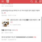 망돌 <b>시초</b>찾았당 판에서
