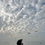 [TXT] <b>수빈</b>이랑 조카 대화 상상하기