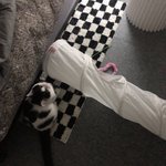 남자 최고의 mbti