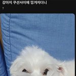[댓글부탁해] 친구가 <b>살인</b>을 했다면 편들어줄수있어?