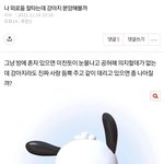 [판녀<b>킬러</b>] 이럴거면 강아지 키우지마..ㅈㅂ