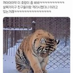 [댓글부탁해] 너네 친구가 ㅈㄴ 뚱뚱해져서 오면