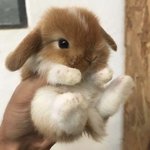 불<b>구속</b> 입건이