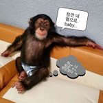[드루와] 내 남친 ㅈㄴ웃기고 사랑스러운거