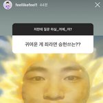 <b>거대</b>한 다꾸 세계관