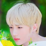 [모두드루와] 얼굴 자랑하고 싶어서 하는 투바투 <b>범규</b> 짤털