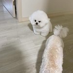 썸남이 똑똑하긴 한데 좀 이상함