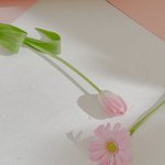 얘들아 시그니처 컴백해 티저 한번 보고가주라