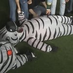 [에이티즈] 짐 내모습