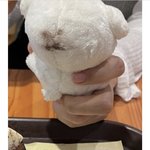 [이태용] ㅋㅋㅋㅋㅋ이거 넘 웃곀ㅋㅋㅋ