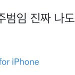 [이태용] 예전 콘서트 후기에