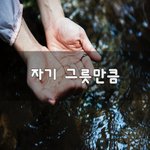 [50대] 자기 그릇만큼~