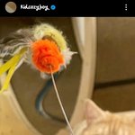 [이것좀봐줘] 아이들 미연이랑 래퍼 키드<b>밀리</b> 콜라보함