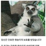 [NCT칠프] 자 긍정적인 하루을 살아보자고