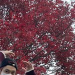 [NCT칠프] 머리랑 옷이랑 <b>단풍</b>이랑