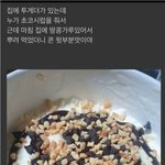 계속해서 매번 첫경험을 할 수 있는 비결