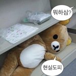 [19] 고3들아 나만이러냐