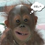 [드루와] <b>팔뚝</b>살 빠지면 어깨 좁아보이겠지