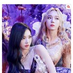 카리나 윈터 같이 데뷔한게 신의 <b>한수</b>인 이유