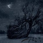 아이유, 해킹 범죄에 <b>관여</b>하여, 공범으로 형사 처벌