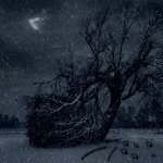 아이유, 해킹 범죄에 <b>관여</b>하여, 공범으로 형사 처벌
