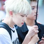 [세븐틴] 아나 15순영