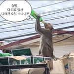 [댓글부탁해] <b>ISTP</b>들아 이거 찐사랑 맞냐