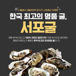 <b>양식</b>굴과 다른 자연산굴 서포굴!