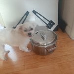 나 <b>섹트</b>인데 스페 염탐하고 다님