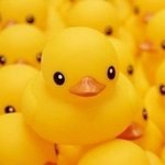 [댓글부탁해] 얘 기억남? 예전엔 유명했는데