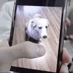 <b>김판녀</b> 과연 합격했을까요??