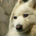 [NCT드림] <b>용두</b>사미 식으로 끝나지 말자!!!!!!! 결말을 짓자고...