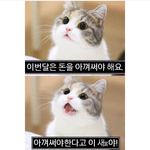 오늘 여기