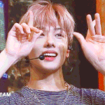 박<b>지송</b>