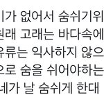 [NCT드림] 난 고래 이 <b>설명</b>이 너무 좋아