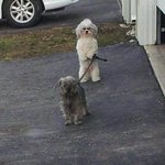 [19] 근데 섹수 너무 <b>추잡</b>스럽지 않냐