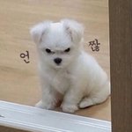 너넨 회전<b>목마</b> 듣지 마라