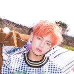 김태형<b>팬</b>들아 <b>뷔</b> 최애 머리 다들 머야