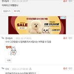 [잡채꿀맛] 싸우다가 잡채로 친해진 판녀들<b>어보</b>셈