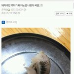 판에서 보이는 빌런들 정리
