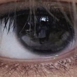 [<b>NCT</b>칠프] 사진작가 보임