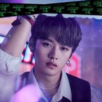 [스키즈] 리노 <b>머리</b>