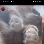 [댓글부탁해] 근데 궁금한게 수능 때 흡연