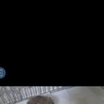 [NCT칠프] 한입꺼리 <b>복실</b>