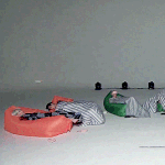 <b>정구</b>가