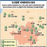 [방탈죄<b>송</b>] 왕릉아파트...추반 한번 해볼까요?