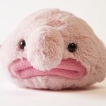 누가 <b>홀수</b>형 짝수형 정리해서 톡선 올려야될듯