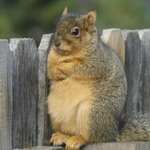 [댓글부탁해] 진료 <b>확인서</b>받으랴고 연기하다가 딱걸림;;