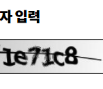 [NCT칠프] 마마 투표하는데 <b>보안</b>문자 1e7