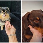 <b>뷔</b> 정국 출국사진 탄이랑 밤이같음